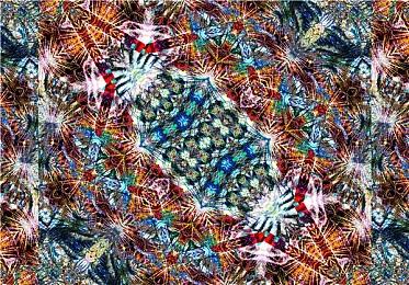 《守望先锋2》出现搞笑Bug 导致许多角色变成秃头